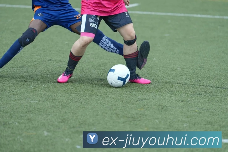 九游会官网平台生态图