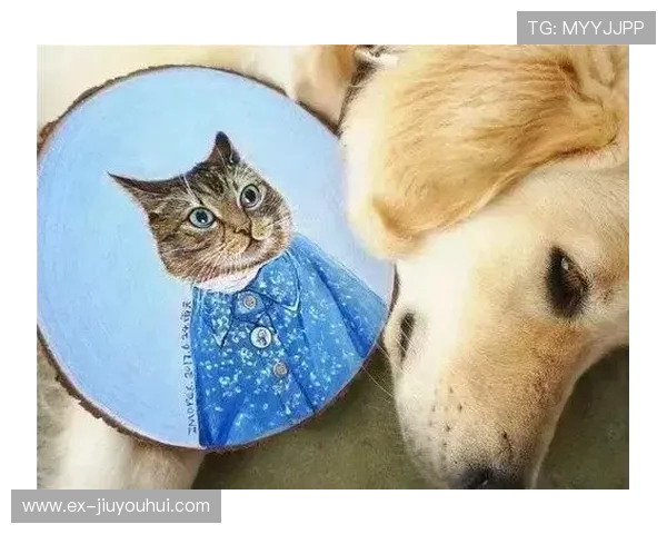 以足球元素为主题的创意雨伞彩绘设计展现运动与艺术的完美融合